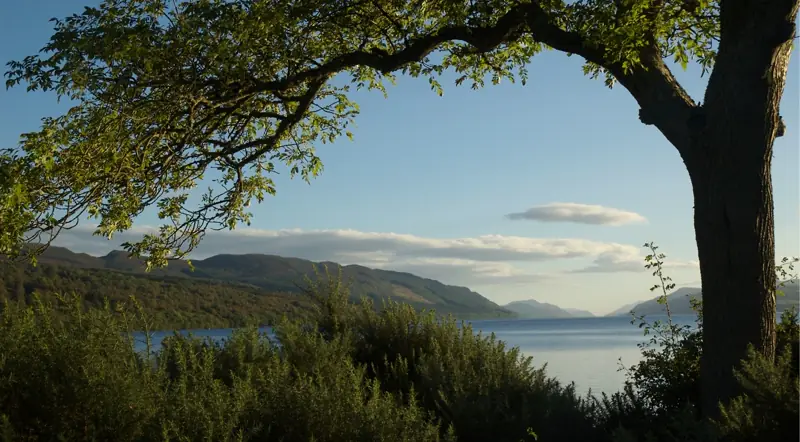 A Highland viewpoint framed by a tree looking over Loch Ness at golden hour