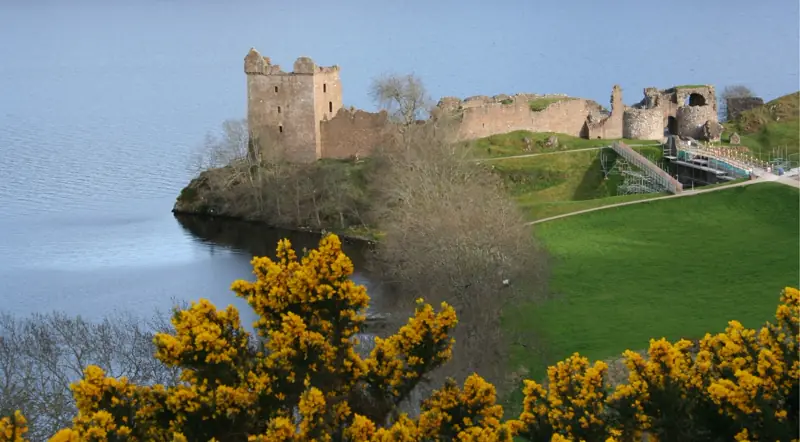 Urquhart Castle ruins above Loch Ness with yellow gorse in the foreground
